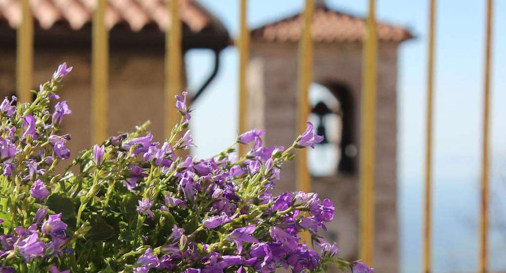 La Scuola Guesthouse Lusiana Exterior photo